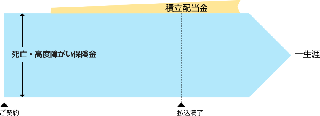 グランドクルーズ商品 ご契約〜払込満了までのイメージ