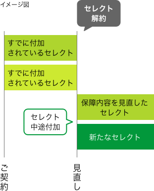 セレクト見直し〔全部見直し〕