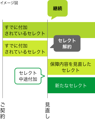 セレクト見直し〔一部見直し〕