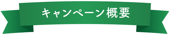 キャンペーン概要