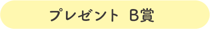 プレゼント B賞