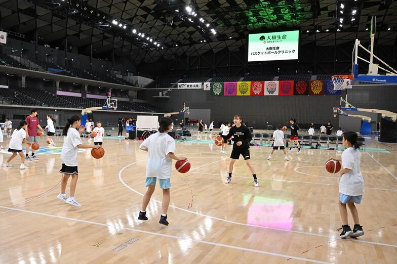 img_taiju_wjbl_2.jpg