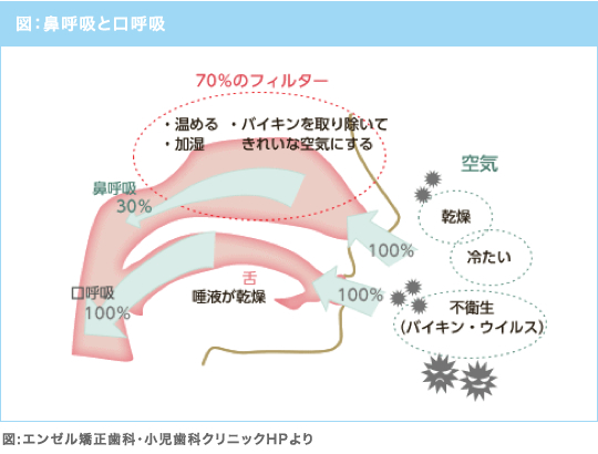 図：鼻呼吸と口呼吸