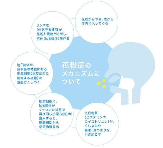 chart01.jpg