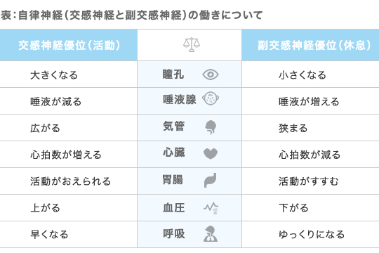 表：自律神経（交感神経と副交感神経）の働きについて