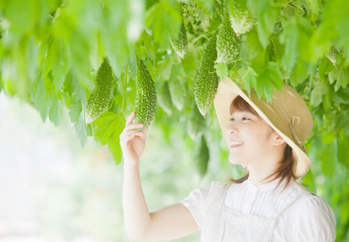経済的で健康的な天然のエアコンで夏を快適に