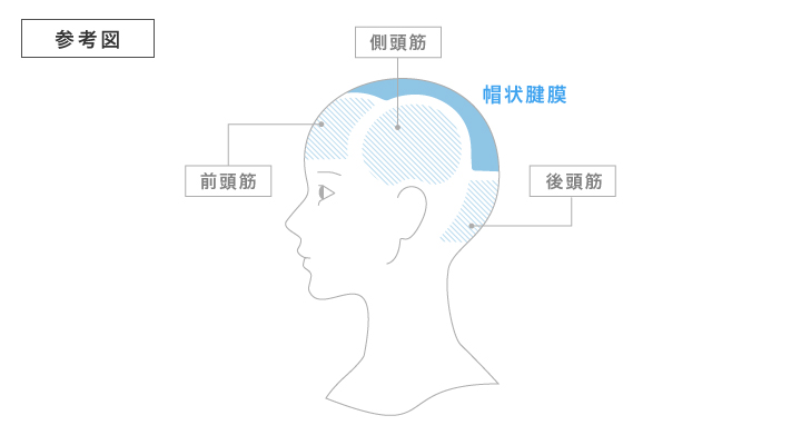 参考図