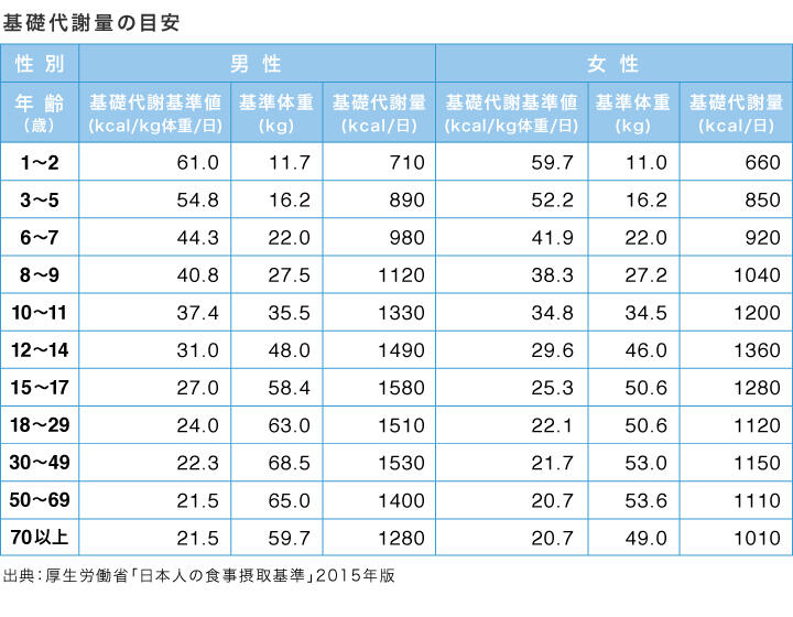 体温 基礎 代謝