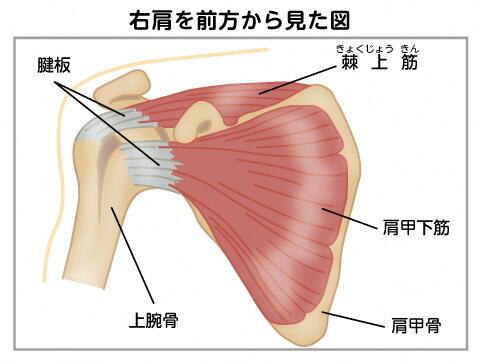 chart01.jpg