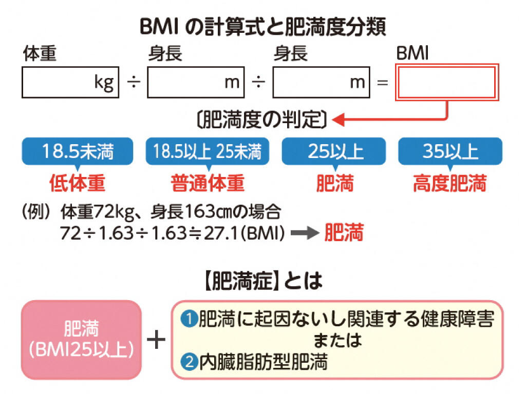 BMIの計算式と肥満度分類