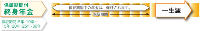 年金開始時に選択できる年金種類　保証期間付終身年金　保証期間：5年・10年・15年・20年・25年・30年