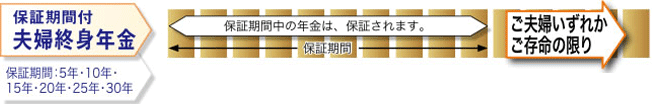 年金開始時に選択できる年金種類　保証期間付夫婦終身年金　保証期間：5年・10年・15年・20年・25年・30年