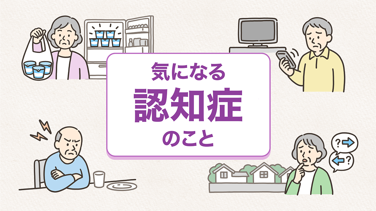 動画